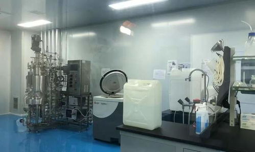 全市观摩聚焦高新，两大计算机技术开发项目亮点纷呈